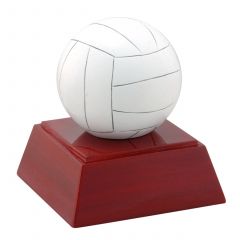 Generic Volleyball Resin Award