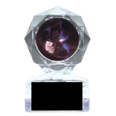 Soaring Eagle Acrylic Star Trophies