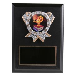 Academic Knowledge Resin Plaques