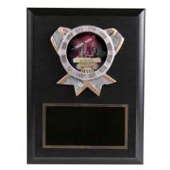 Colorful Holographic Science Resin Plaque