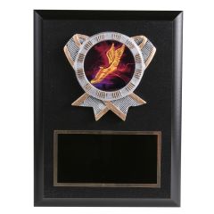 Winged Shoe Track Resin Plaque