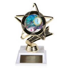All-Star Swimming Award