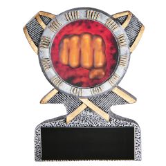 Martial Arts Fist Resin Trophies