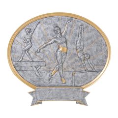 All Around-Female Gymnast Award