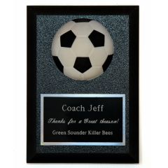 3-D Soccer Award Plaque