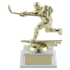All Star Hockey Trophy