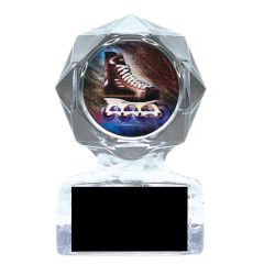 Roller or Inline Hockey Acrylic Award Trophies
