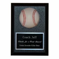 3-D Baseball Award Plaque