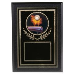 Hot Hitter Victory Baseball Plaques