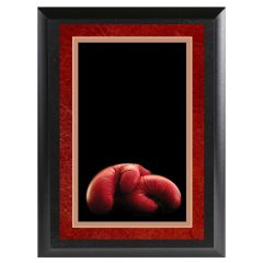 Color Boxing Plaque