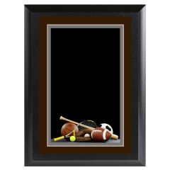 Color Sports Nut Plaque