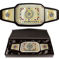 Gold Championship Award Belt