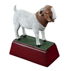 Color Goat Trophy
