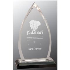 Engraved Silver Flame Acrylic Award