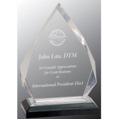 Engraved Diamond Gem Acrylic Award in Silver