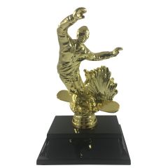 Snowboarding Trophy