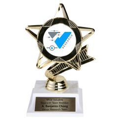 Custom Teamwork Gold Star Trophy - Research Team
