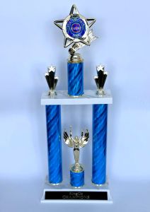Activity Choice Tall Tournament Trophy