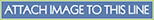 Attach Image to This Line