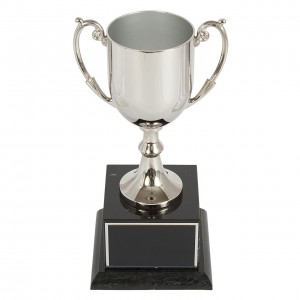 Loving cup trophies are timeless and classic awards. This one is my favorite that we offer.