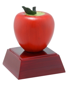 For Outstanding Educators!
