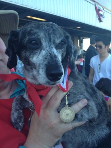 The 2013 winning pooch. Who will be this year's champion?