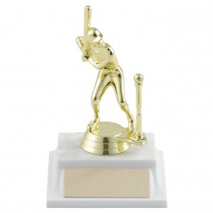 This T-Ball trophy will be a hit with your youngest players!